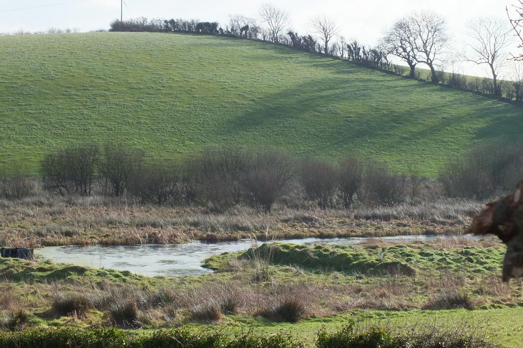 Barnwell Farm Cottages Corn Cottage Greyabbey Rom bilde