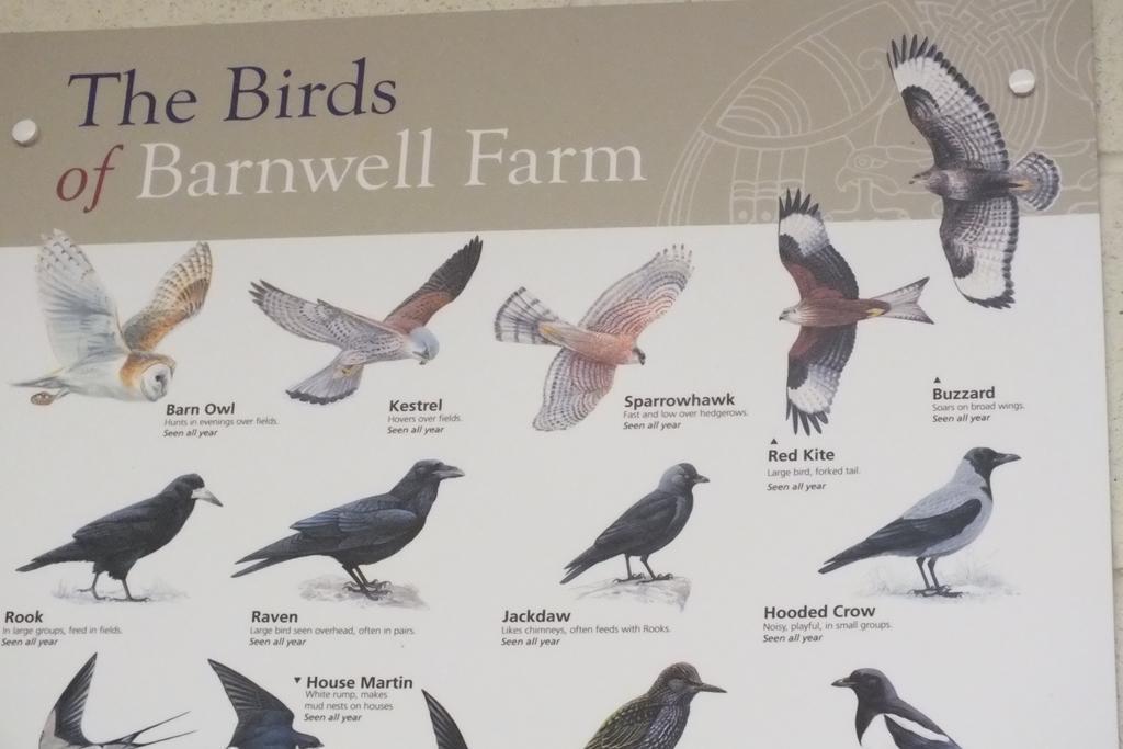 Barnwell Farm Cottages Corn Cottage Greyabbey Rom bilde
